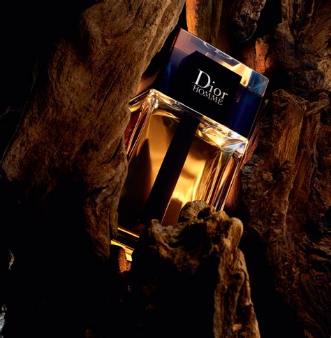 dior limited 2020|Dior cologne 2020.